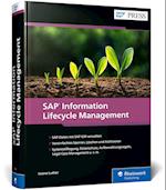 SAP Information Lifecycle Management