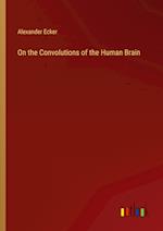 On the Convolutions of the Human Brain 