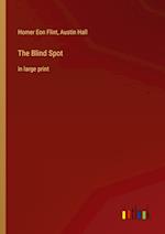 The Blind Spot:in large print 