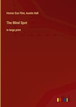 The Blind Spot:in large print 