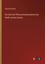 Die Idee der Pflanzenmetamorphose bei Wolff und bei Goethe