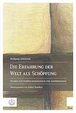 Die Erfahrung Der Welt ALS Schopfung