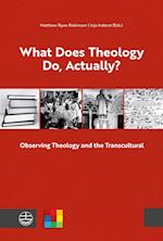 What Does Theology Do, Actually?