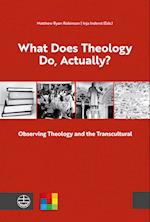 What Does Theology Do, Actually? Vol. 1