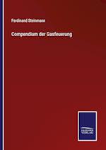 Compendium der Gasfeuerung