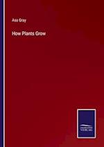 How Plants Grow