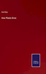 How Plants Grow