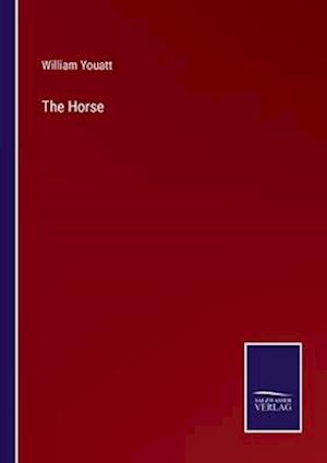 The Horse