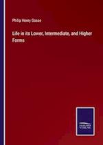 Life in its Lower, Intermediate, and Higher Forms