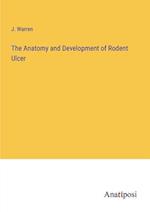 The Anatomy and Development of Rodent Ulcer