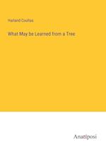 What May be Learned from a Tree