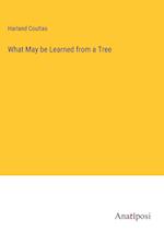 What May be Learned from a Tree