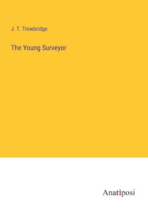 The Young Surveyor