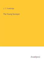 The Young Surveyor