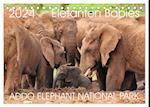 ADDO ELEPHANT NATIONAL PARK Elefanten Babies (Tischkalender 2024 DIN A5 quer), CALVENDO Monatskalender