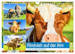 Rindvieh auf der Alm. Kühe im Bergsommer (Wandkalender 2024 DIN A4 quer), CALVENDO Monatskalender