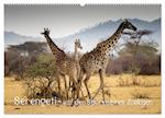 Serengeti - auf den Spuren eines Zoologen (Wandkalender 2024 DIN A2 quer), CALVENDO Monatskalender