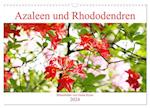 Azaleen und Rhododendren Blütenbilder (Wandkalender 2024 DIN A3 quer), CALVENDO Monatskalender