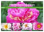 Pfingstrosenblüten (Wandkalender 2024 DIN A4 quer), CALVENDO Monatskalender