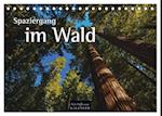 Spaziergang im Wald (Tischkalender 2024 DIN A5 quer), CALVENDO Monatskalender