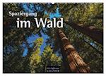 Spaziergang im Wald (Wandkalender 2024 DIN A2 quer), CALVENDO Monatskalender
