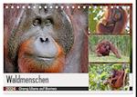 Waldmenschen - Orang Utans auf Borneo (Tischkalender 2024 DIN A5 quer), CALVENDO Monatskalender