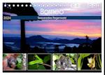 Borneo - Tierparadies Regenwald (Tischkalender 2024 DIN A5 quer), CALVENDO Monatskalender