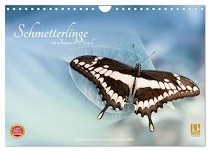 Schmetterlinge - ein Traum in Pastell (Wandkalender 2024 DIN A4 quer), CALVENDO Monatskalender
