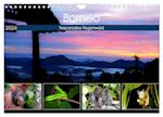 Borneo - Tierparadies Regenwald (Wandkalender 2024 DIN A4 quer), CALVENDO Monatskalender