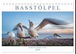Basstölpel - Helgolands tollkühne Taucher (Tischkalender 2024 DIN A5 quer), CALVENDO Monatskalender