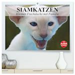 Siamkatzen - Kleiner Frechdachs mit Familie (hochwertiger Premium Wandkalender 2024 DIN A2 quer), Kunstdruck in Hochglanz