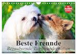 Beste Freunde. Bezaubernde Tierfreundschaften (Wandkalender 2024 DIN A4 quer), CALVENDO Monatskalender