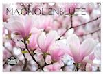Magnolienblüte (Wandkalender 2024 DIN A4 quer), CALVENDO Monatskalender