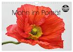 Mohn im Porträt (Wandkalender 2024 DIN A4 quer), CALVENDO Monatskalender