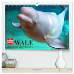 Wale. Kolosse der Meere (hochwertiger Premium Wandkalender 2024 DIN A2 quer), Kunstdruck in Hochglanz