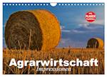 Agrarwirtschaft. Impressionen (Wandkalender 2024 DIN A4 quer), CALVENDO Monatskalender