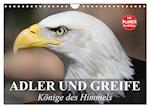 Adler und Greife. Könige des Himmels (Wandkalender 2024 DIN A4 quer), CALVENDO Monatskalender