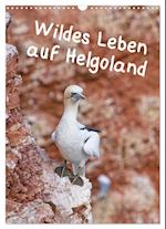 Wildes Leben auf Helgoland (Wandkalender 2024 DIN A3 hoch), CALVENDO Monatskalender