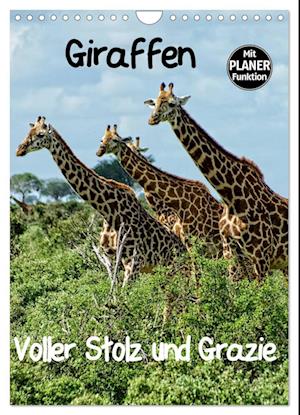Giraffen. Voller Stolz und Grazie (Wandkalender 2024 DIN A4 hoch), CALVENDO Monatskalender
