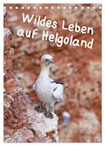 Wildes Leben auf Helgoland (Tischkalender 2024 DIN A5 hoch), CALVENDO Monatskalender