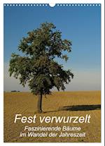Fest verwurzelt - Faszinierende Bäume im Wandel der Jahreszeit (Wandkalender 2024 DIN A3 hoch), CALVENDO Monatskalender