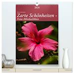 Zarte Schönheiten - Feine Hibiskusblüten (hochwertiger Premium Wandkalender 2024 DIN A2 hoch), Kunstdruck in Hochglanz