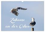 Zuhause an der Ostsee (Wandkalender 2024 DIN A3 quer), CALVENDO Monatskalender