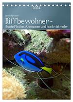 Riffbewohner - Bunte Fische, Anemonen und noch viel mehr (Tischkalender 2024 DIN A5 hoch), CALVENDO Monatskalender
