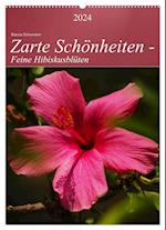 Zarte Schönheiten - Feine Hibiskusblüten (Wandkalender 2024 DIN A2 hoch), CALVENDO Monatskalender