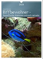 Riffbewohner - Bunte Fische, Anemonen und noch viel mehr (Wandkalender 2024 DIN A3 hoch), CALVENDO Monatskalender