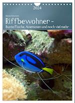 Riffbewohner - Bunte Fische, Anemonen und noch viel mehr (Wandkalender 2024 DIN A4 hoch), CALVENDO Monatskalender
