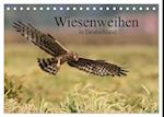 Wiesenweihen in Deutschland (Tischkalender 2024 DIN A5 quer), CALVENDO Monatskalender