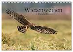 Wiesenweihen in Deutschland (Wandkalender 2024 DIN A3 quer), CALVENDO Monatskalender