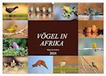 Vögel in Afrika - Magie der Farben (Wandkalender 2024 DIN A2 quer), CALVENDO Monatskalender